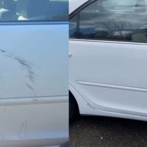 Stylo Anti-Rayures Carfix™ photo review