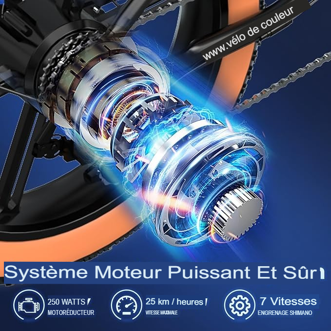 BK Pro Rider – Puissance et Confort Sans Limites – Image 13